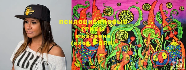 ECSTASY Магадан