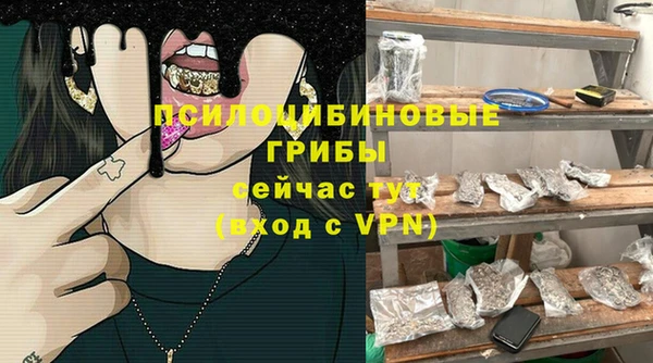 амф Магас