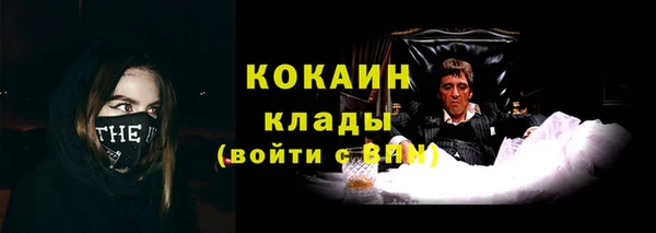 амф Магас