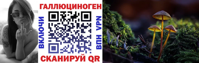 Псилоцибиновые грибы GOLDEN TEACHER  где продают наркотики  Тутаев 